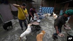 Iranian cleric Sayed Mahdi Tabatabaei, left, and his co-workers feed impaired stray dogs at his shelter, May 21, 2023.