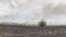 Veld fires burning large tracks of land in Matabeleland North