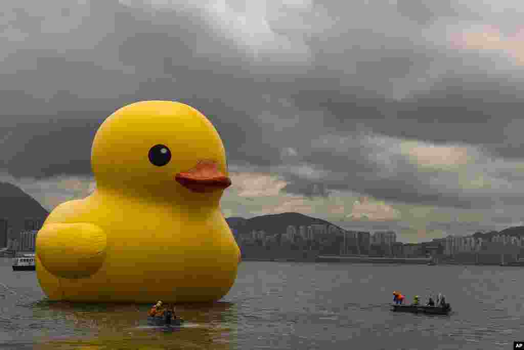 An art installation called "Double Ducks" by Dutch artist Florentijn Hofman shows one of two giant inflatable ducks at Victoria Harbour in Hong Kong.