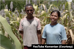 Yosen Atan Hera dan istrinya, di depan kebun sorgum mereka di kampung Likotuden, Flores Timur, NTT. (Foto: Courtesy/YouTube Kementan)