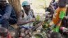 FILE - A displaced man and children rip leaves off branches, preparing to boil and eat them, in Kowach village in Canal Pigi county, Jonglei State, South Sudan, May 5, 2023. The country is due to hold presidential elections in 2024.