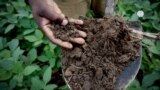 Soil Is a Precious Resource