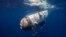 US-CANADA-TITANIC-SUBMERSIBLE
