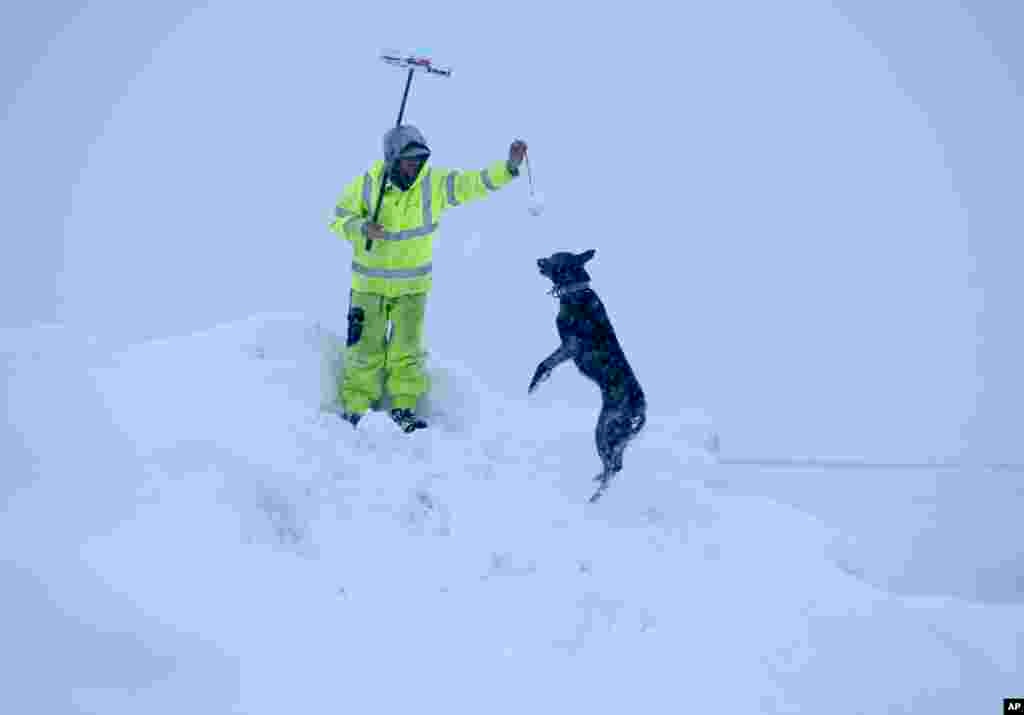 Alex Hereford juega con Dingo, el perro de su amigo, en la cima de una montaña de nieve en el centro de Truckee, California.