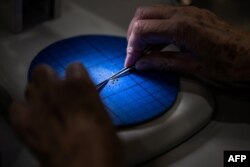 Seorang ilmuwan menganalisis benih sebelum disimpan di Kew Millennium Seed Bank di Wakehurst, selatan London, 25 April 2023. (Ben Stansall / AFP)