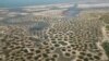 Foto udara menunjukkan sumur garam di Palmarin, kawasan Delta Sine Saloum,&nbsp;Senegal yang diklasifikasikan sebagai situs warisan dunia UNESCO. (Reuters)&nbsp;