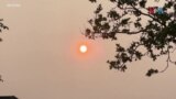 Чадот од канадските шумски пожари дојде до Њујорк
