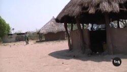 Zambia Launches SpaceX’s Starlink Internet Service
