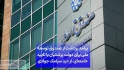 پیامد برداشت از صندوق توسعه ملی برای دولت پزشکیان با تایید خامنه‌ای، از دید سیامک جوادی