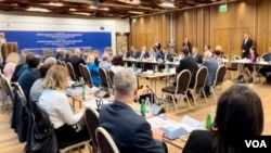 Konferencija o problemima izvršenja odluka Ustavnog suda BiH