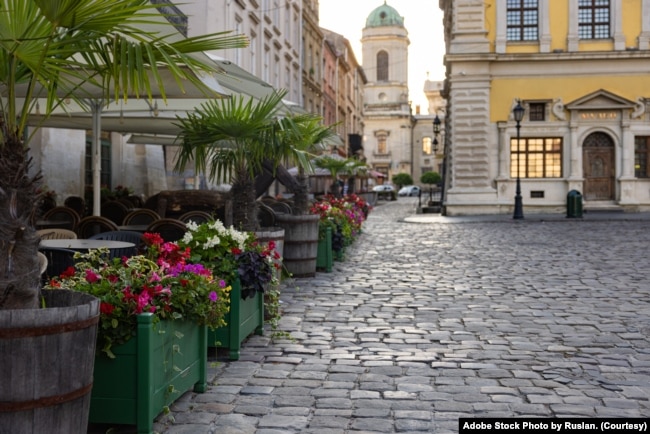 FILE - Flowerbeds and cobblestone street in Lviv city center. (Adobe Stock Photo by Ruslan)