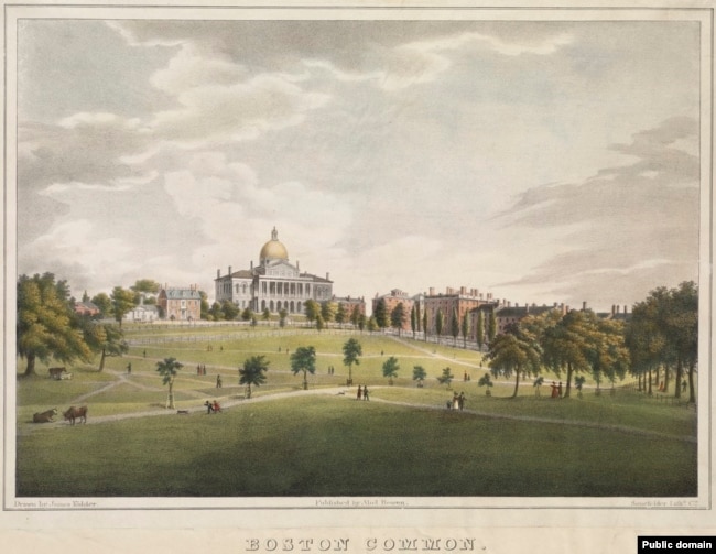 Cows grazed on Boston Common up until 1830. The Massachusetts State House is across the street from the park.