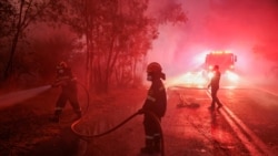 Para petugas pemadam kebakaran berupaya memadamkan api yang melahap wilayah Dionysos, Yunani, pada 12 Agustus 2024. (Foto: Reuters/Alexandros Avramidis)