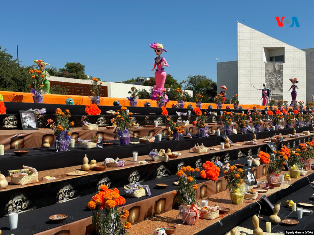 El altar de muertos está realizado con flores de cempasúchil, sal, calaveras de azúcar, pan de muerto, mezcal, velas, así como con una escultura de un perro xoloitzcuintle.