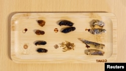 ภาพแมลงชนิดต่าง ๆ ถูกวางเรียงไว้บนจานที่ทาเค-โนโกะ คาเฟ่ (Take-Noko café) กรุงโตเกียว ญี่ปุ่น 