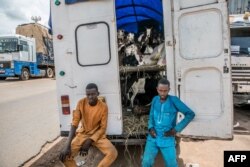 FILE - Traders sit in their van, loaded with animals, as they wait at the closed border in Malanville between Benin and Niger, Sept. 18, 2023.