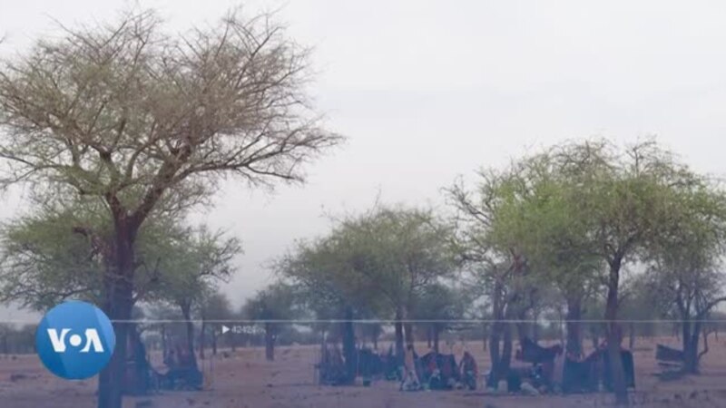 Tchad : venir à bout des conflits communautaires dans le Nord-Kanem