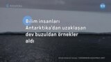 Bilim insanları Antarktika’dan uzaklaşan dev buzuldan örnekler aldı
