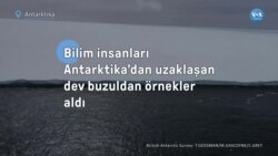 Bilim insanları Antarktika’dan uzaklaşan dev buzuldan örnekler aldı
