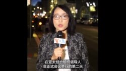 亚太经合组织峰会开幕之际，数以千计示威者云集旧金山表达不同诉求 