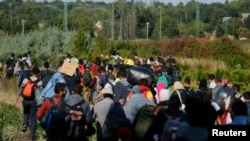 FILE—Migrants walk across the Hungarian border, after arriving at the train station in Botovo, Croatia September 23, 2015. 