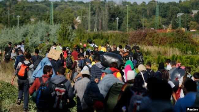 크로아티아에 도착한 이주민들이 헝가리 국경을 넘고 있다. (자료사진)