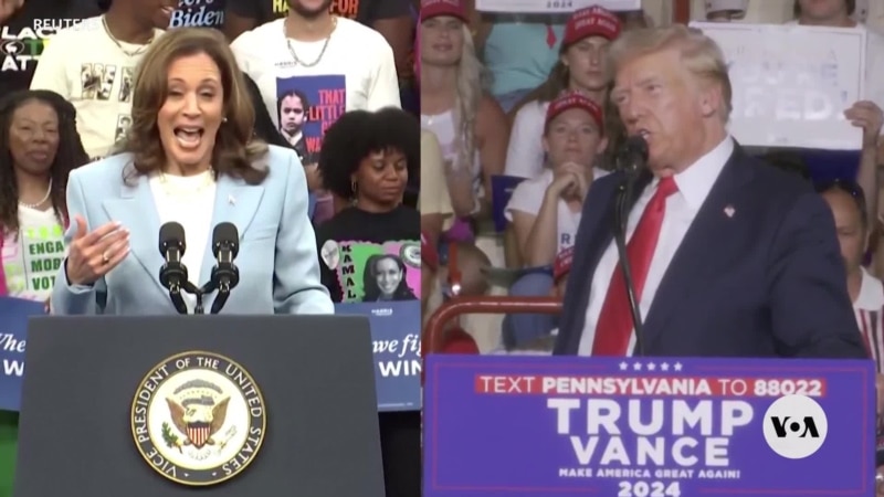 Trump questions Harris’ racial identity