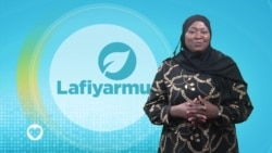 LAFIYARMU: Yadda Sabon Maganin Rigakafin Zazzabin Maleriya Zai Iya Ceto Miliyoyin Rayuka