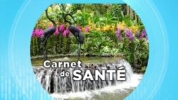 Carnet de Santé : quand la nature soigne le corps et l’esprit