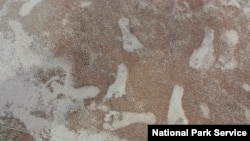 This Oct. 2023 photo shows human footprints at the White Sands National Park in New Mexico. Fossil human footprints discovered in White Sands likely date back to between 21,000 and 23,000 years ago, according to scientific evidence published Thursday, Oct. 5, 2023. (NPS via AP)