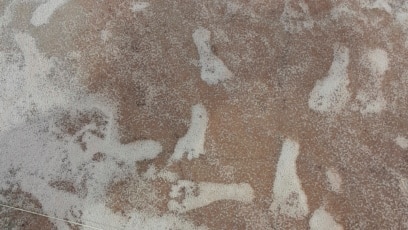 Study: Footprints in New Mexico May Be Oldest Sign of Humans