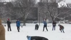 華盛頓國家廣場上演打雪球戰