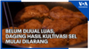 Belum Dijual Luas, Daging Hasil Kultivasi Sel Mulai Dilarang