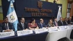 La Corte Constitucional otorgó amparo al Partido Semilla que enfrenta una posible suspensión