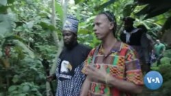 Ekuikui VI procura reaver bens culturais angolanos