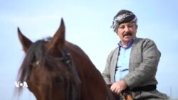 هاووڵاتیەک نزیکەی 40 ساڵە خولیای ئەسپسواریە
