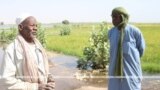 Tombouctou, hakilinaw farala ɲɔgɔna kabini Duniya kelenyatɔnba wote 