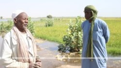 Tombouctou, hakilinaw farala ɲɔgɔna kabini Duniya kelenyatɔnba wote 