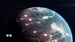 قارچک دەتوانێت یارمەتی کەمکردنەوەی مەترسی ئاگرکەوتنەوە لە دارستانەکان بدات