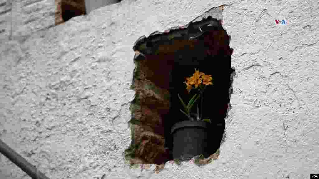 Este jardín botánico &ldquo;oculto&rdquo; tiene un mariposario y una diversidad de plantas que adornan al sitio.