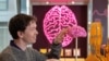 Pameran 'Hello Brain! " di Francis Crick Institute, London, Inggris, mengeksplorasi otak manusia dan perubahannya seiring waktu. (Fiona Hanson/TheFrancisCrickInstitute)