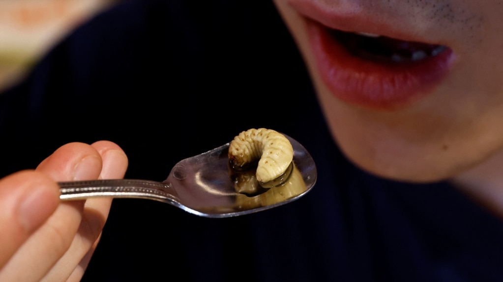 In Japan, Silkworms, Crickets, Bugs Are on the Table