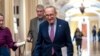 US Senate Passes Spending Bill, Averts Imminent Shutdown