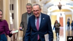 Senate Majority Leader Chuck Schumer, D-N.Y., walks outside the chamber ahead of final work on a partial government funding bill, at the Capitol in Washington, March 8, 2024.