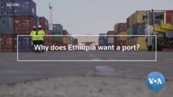 Explainer: Somalia's Diplomatic Row With Ethiopia Over Somaliland Port
