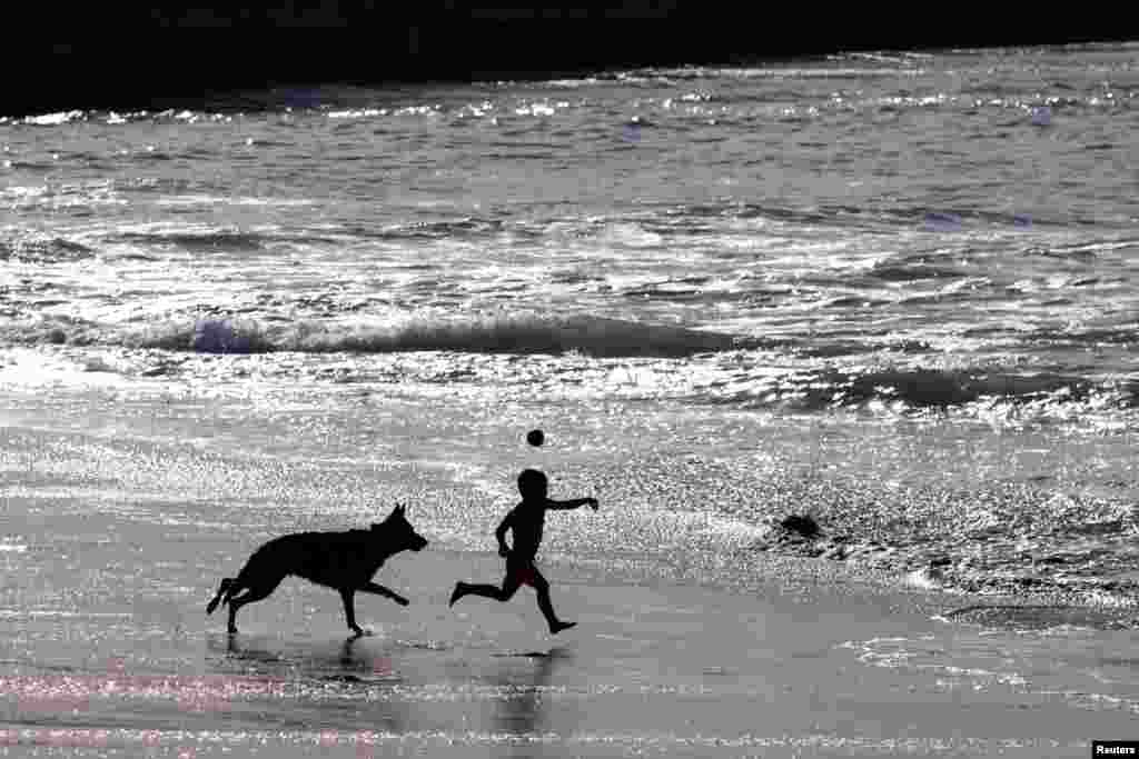 A young boy plays ball with his dog at a location known as Dog Beach in Del Mar, California, Nov. 26, 2023. REUTERS/Mike Blake&nbsp;