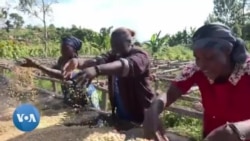 En RDC, l'autonomisation des femmes via la production de café