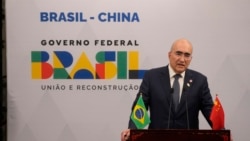 China no ha reanudado compra de pollos a Brasil