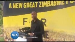 Gift Ostallos Siziva: Zimbabwe Now 'Animal Farm'