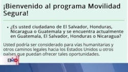 Habilitan citas para oficinas de movilidad segura en Guatemala 